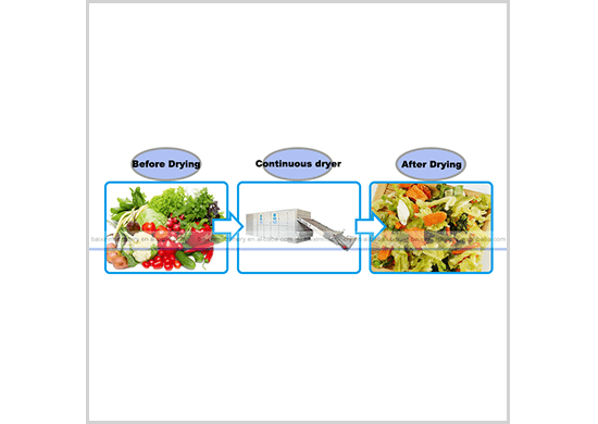 Vegetables drying machine